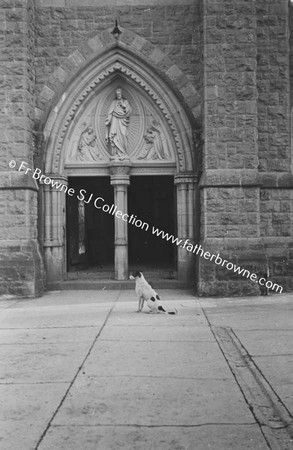 DOG OUTSIDE CHURCH DOOR